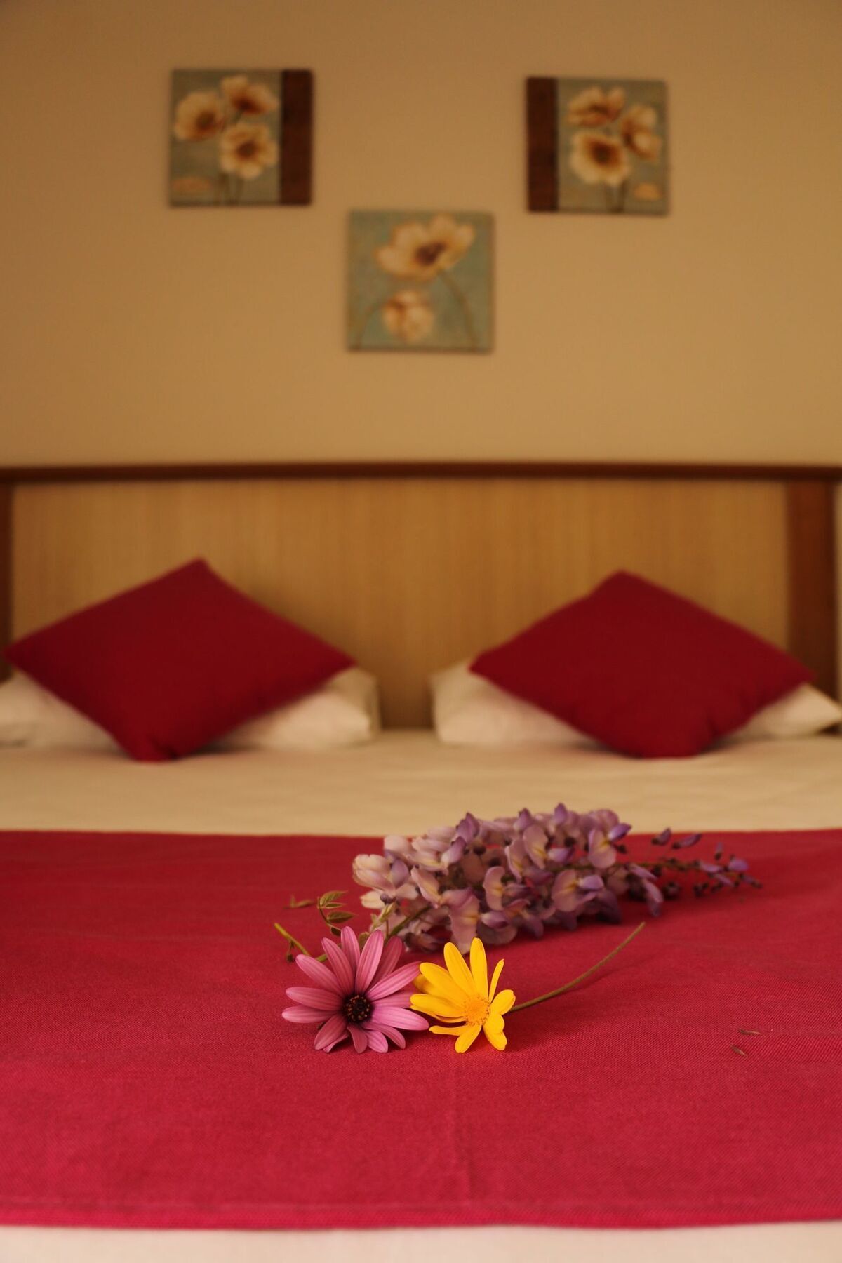 Cunda Sir Hotel ไอวาลิค ภายนอก รูปภาพ